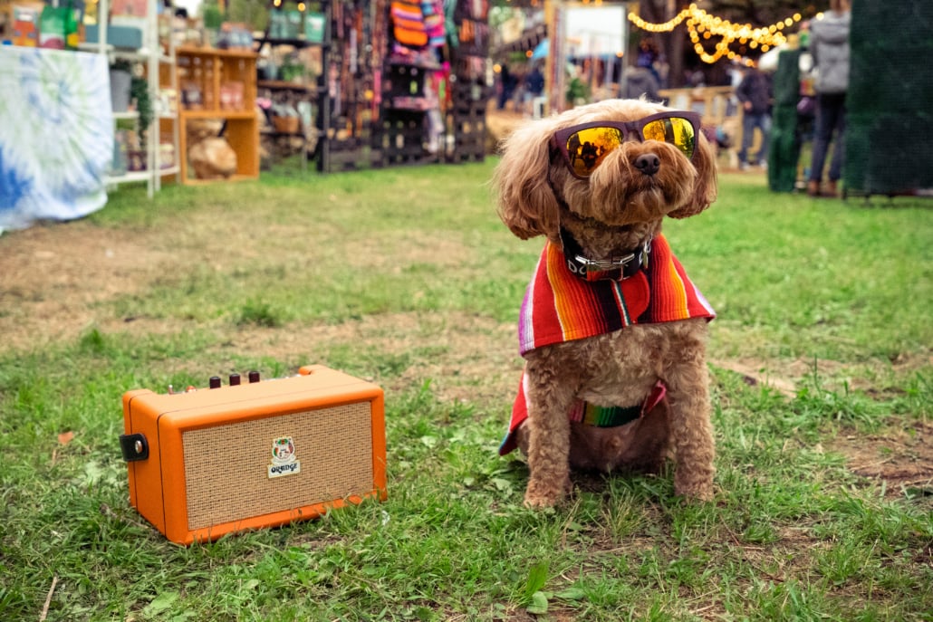 Interview: Cliff Cooper, the Orange Box, and the pursuit of perfection